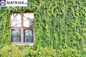 Siatki Brwinów - Siatka z dużym oczkiem - wsparcie dla roślin pnących na altance, domu i garażu dla terenów Brwinowa